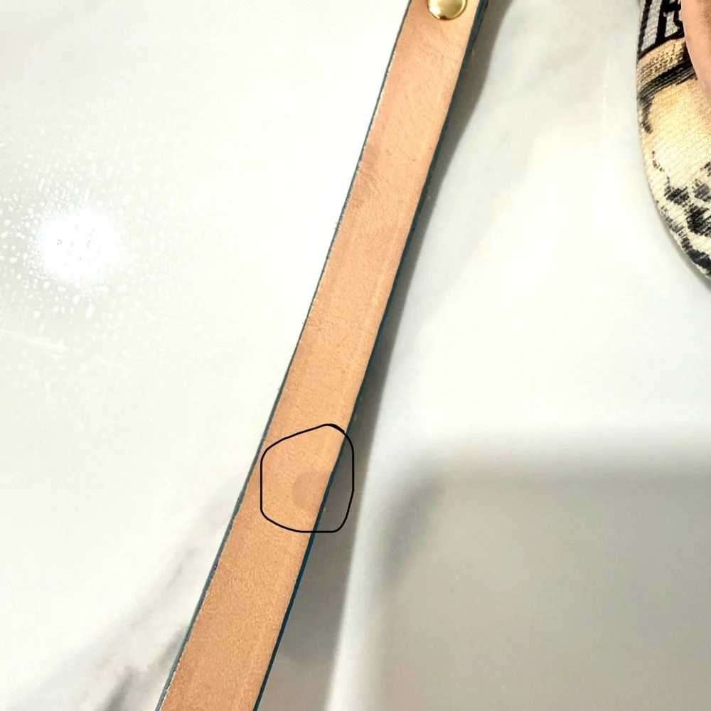 Authentic Collectible Disney Dooney & Bourke Artistic Leather and Gold Wristlet